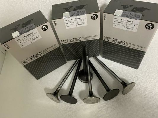 S6K 3066 Motorda Emme Valfi
